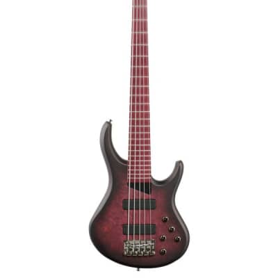 MTD Andrew Gouche Signature AG-5 5-String Bass Smoky Purple Satin image 2