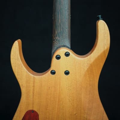 Halo MERUS 6-string Headless Guitar, Bare Knuckle Pickups, Poplar Burl 🤘🏻 image 5
