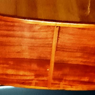 GIANNINI GN-60 CLASSICAL-FOLK 1960’s-NATURAL WOODS, NEEDS TLC AND EXPERT LUTHIER'S HANDS image 24