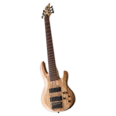 ESP LTD B-206SM 6-String Right-Handed Bass Guitar with Ash Body, Maple and Jatoba Neck, and Roasted Jatoba Fingerboard (Natural Satin) image 3