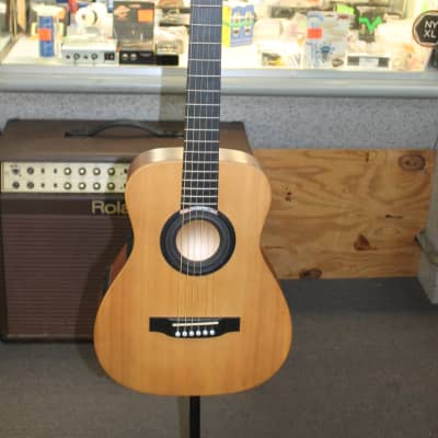Martin ICOUSTIC LITTLE MARTIN LX1 GUITAR PROFESSIONAL PACKAGE image 1