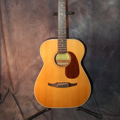 Video Demo 1975 Montano by Takamine F190 Folk Guitar Concert Size Pro Setup New strings Orig Soft Shell Case image 1
