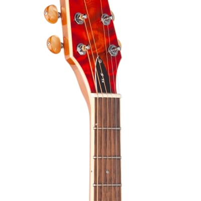 ESP LTD TL6QM Acoustic Electric Thinline Guitar Tiger Eye image 4