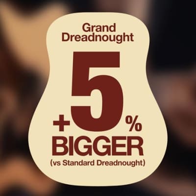 Ibanez AAD300CE-LGS Advanced Acoustic Serie Grand Dreadnought Cutaway Akustik Gitarre + Preamp Natur image 11