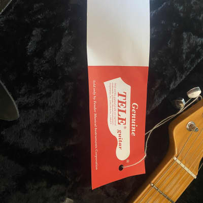Limited Edition Fender Custom Shop '69 Reissue Telecaster Thinline Relic 2011 image 18