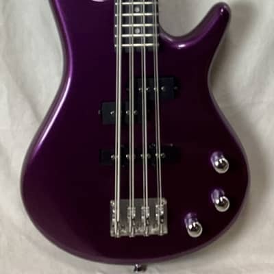 MORTone Electric 8 string bass Mikro bass conversion (made to order) image 1