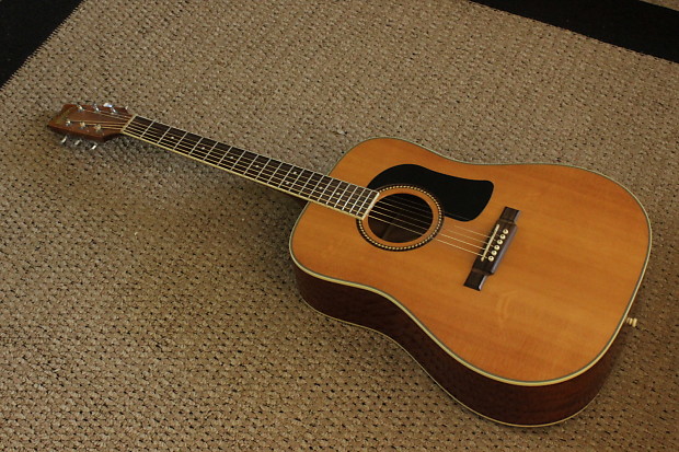 Washburn d10s price hotsell