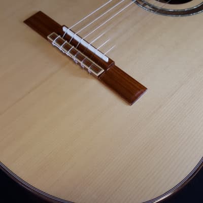 ORTEGA Private Room Striped Suite CE Acoustic Electric Cutaway Classical Guitar w/Bag image 4