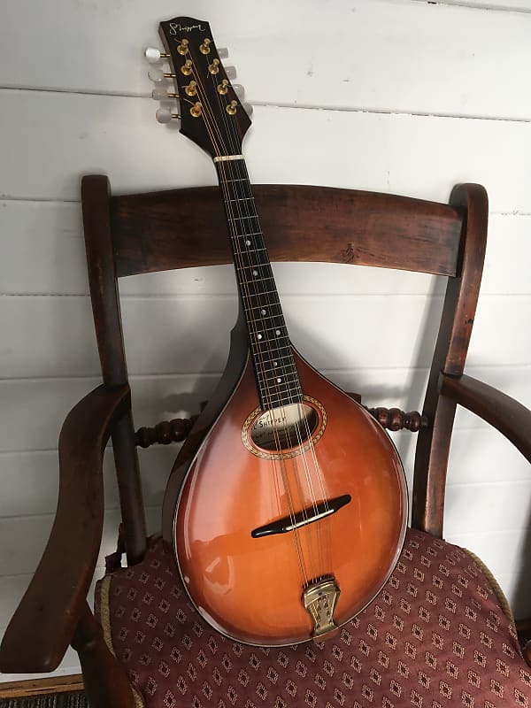 Tone Octave mandolin - PAUL SHIPPEY