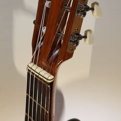 Akustik Gitarre 7/8 | Reverb