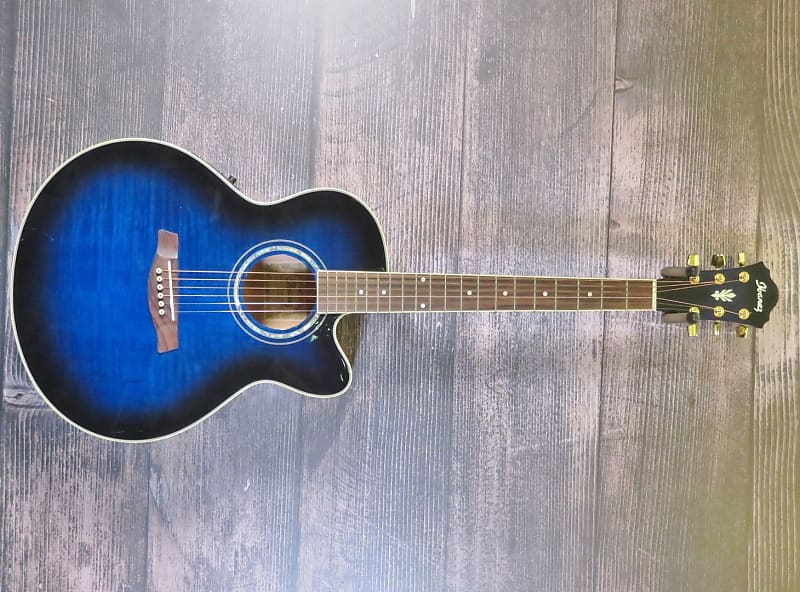 Ibanez AEL20E-TBS Acoustic Electric Guitar (Charlotte, NC)