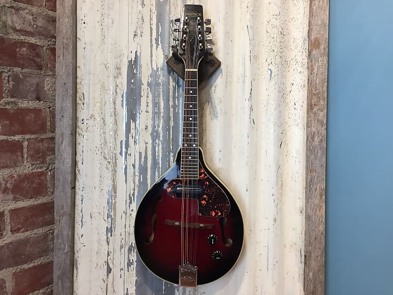 Samick SM20E エレクトリック マンドリン MANDOLIN, Samick SM20E, Korea. Collectables - Musical