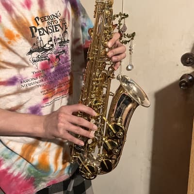 Jupiter JAS110 Eb Intermediate Alto Saxophone Silver/Gold image 10