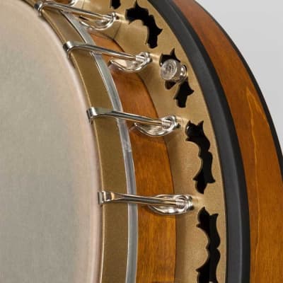 Deering Phoenix Acoustic/Electric 6-String Banjo image 5