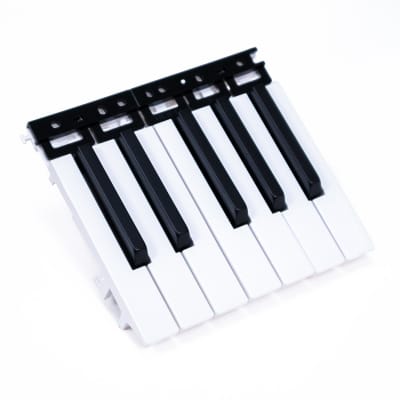 Korg Key Assembly for Minilogue, Minilogue XD, RK-100S, MS20 Mini, Arp Odyssey