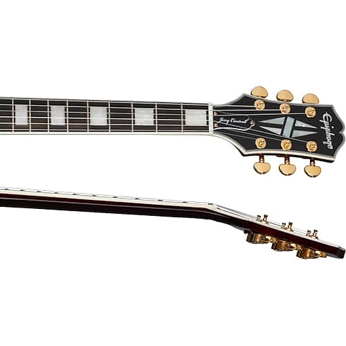 Epiphone エピフォン レスポール custom トラ杢 junk