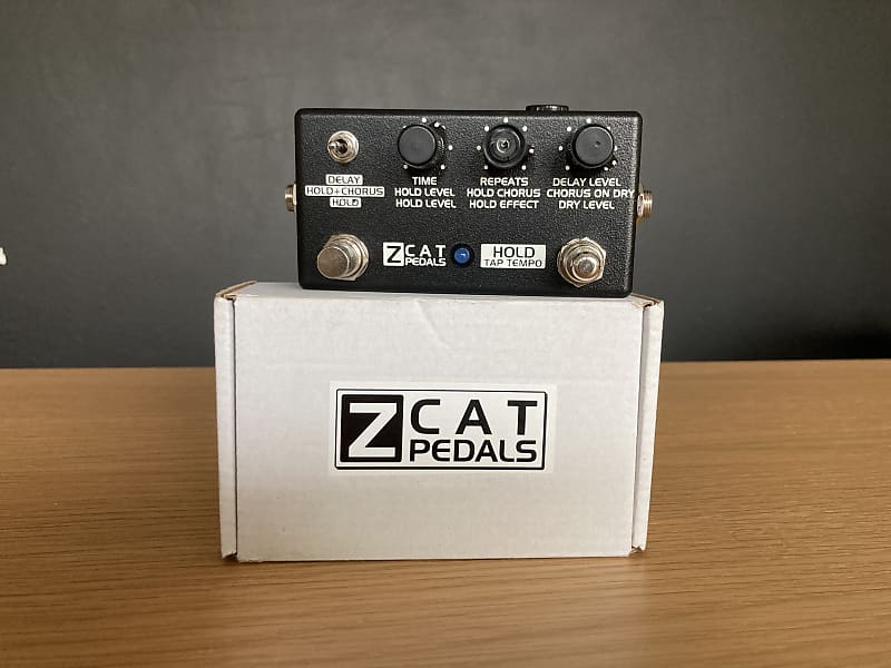 ZCAT Delay/Hold/Chorus Reverb