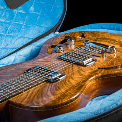 Custom Built - DC Guitars The Original Pavilion Parlor image 7