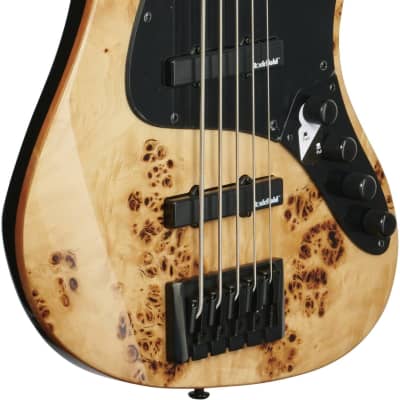 Michael Kelly Custom Collection Element 5R Electric Bass Guitar 5-String, PF - 348024 - 809164021773 image 2