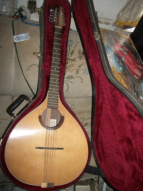 W.A.PETERSON LEVEL 2 CITTERN 1999 image 1