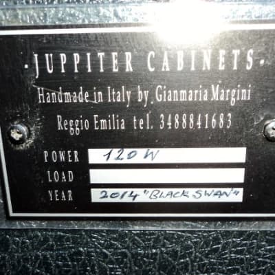 DRAW YOUR OWN CUSTOM CABINET 2023 JUPPITER "Black Swan Series" 2x12 Cab for Marshall Orange Hiwatt Tube Amps image 23