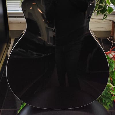 Taylor 214ce DLX LTD 2023 Acoustic Guitar with Electronics - Transparent Grey image 8