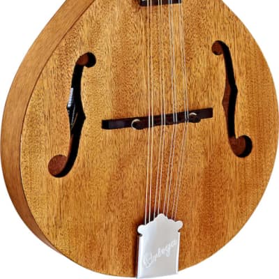Ortega Guitars RMA5NA A-Style Series Arched Mandolin with F-Holes Mahogany Body, Natural Open Pore Finish image 1