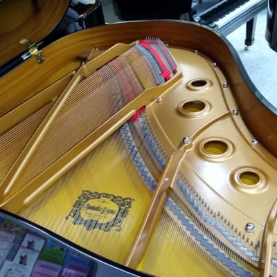 Yamaha C3 Grand Piano 6’1 Black Polish image 5