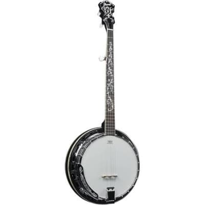Ibanez B300 5-String Banjo with Walnut Resonator - Natural High Gloss for sale