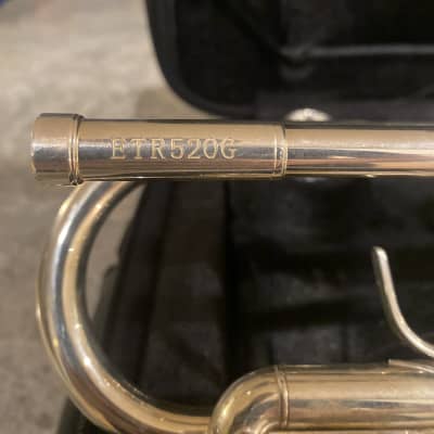Eastman ETR520G - Silver with Gold trim image 6