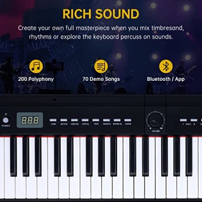 Rosen EP30 Beginner Digital Piano 88-Key Full Size Weighted Keyboard Piano, Portable Electric Piano with Sustain Pedal,Power Supply, 2x20W Speakers, Bluetooth and MIDI image 4