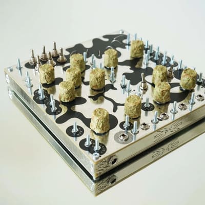 Twin Tropiques - 23 Psychoacoustic - Resonant Filtered