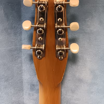 Danelectro Convertible Single Pickup 1965 image 5