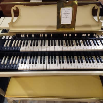 Hammond A102 - White image 5