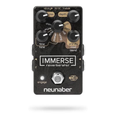 Neunaber Audio Immerse Reverberator V2 2019
