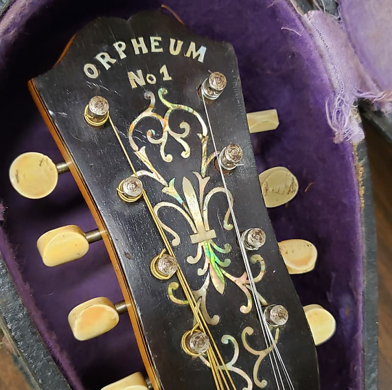 Orpheum No. 1 Banjo Mandolin Banjolin 1919 Natural | Reverb