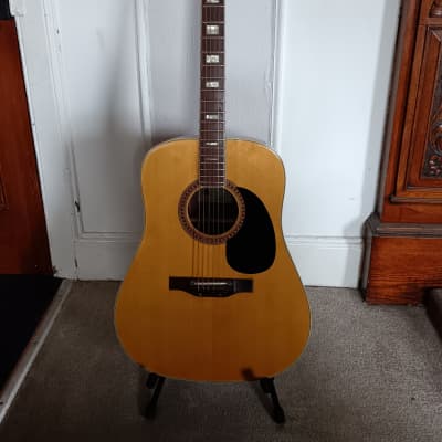 Epiphone FT-150 Bard for sale
