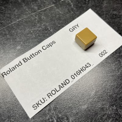 ORIGINAL Roland Gray Button Cap (016H043) for Juno-60, JSQ-60, MSQ-100, EP-6060, EP-11, etc
