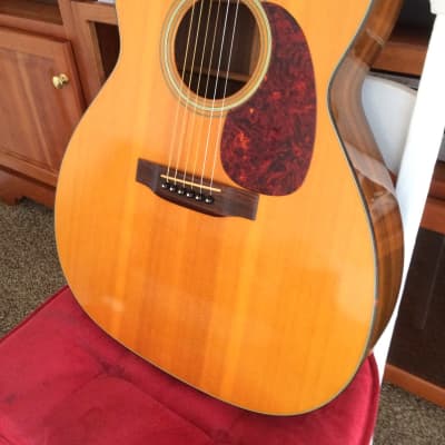 Exceptionally Rare Martin  M-21 Guitar-of-the-Month 1984 Natural image 1