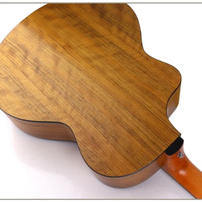 Walnut Top Side Back Acoustic Electric Guitar Built-in Tuner cutaway PPG894 image 7
