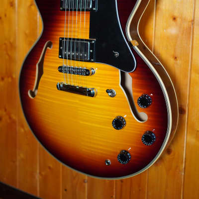AIO SH-335 Semi-Hollow Body Guitar (ES-335 size) - Tobacco Sunburst (no case) image 4