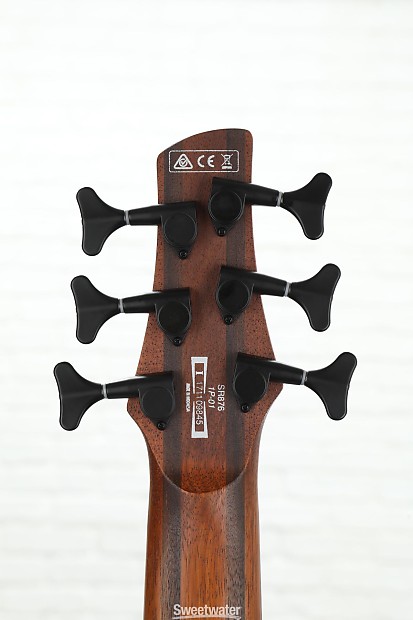 Ibanez sr876 2024