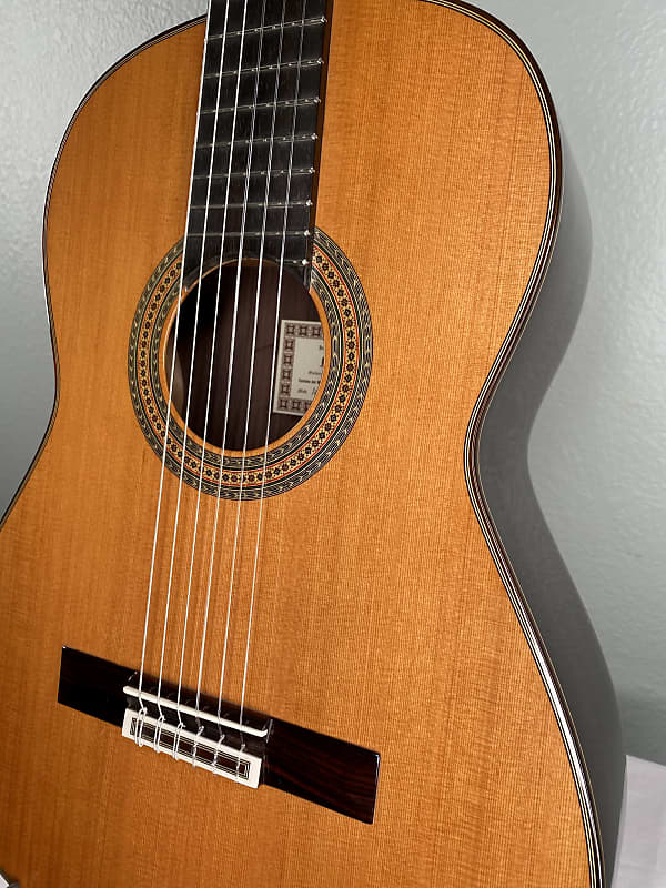 Esteve Alegria Classical Guitar Cedar & Indian Rosewood w/case *made in Spain image 1