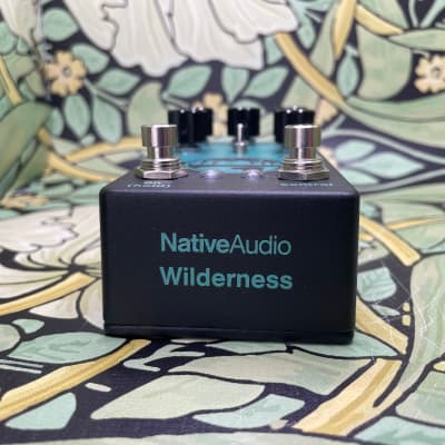 Native Audio Wilderness Delay image 2