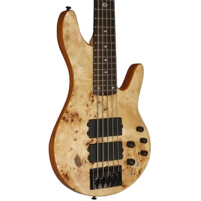 Michael Kelly Pinnacle 5 5-String Bass Guitar (Hollywood, CA) image 1