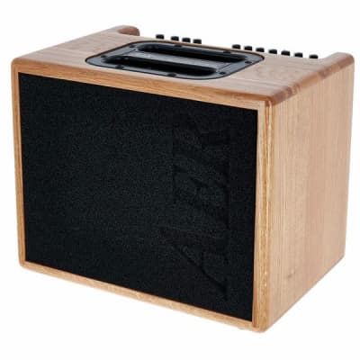 AER Compact-60/4-ONT | 60W Acoustic Amp w/ 8" Speaker, Natural Oak. New with Full Warranty! image 6