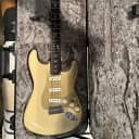 Fender Limited Edition American Professional Stratocaster Rosewood Neck 2020 Desert Sand