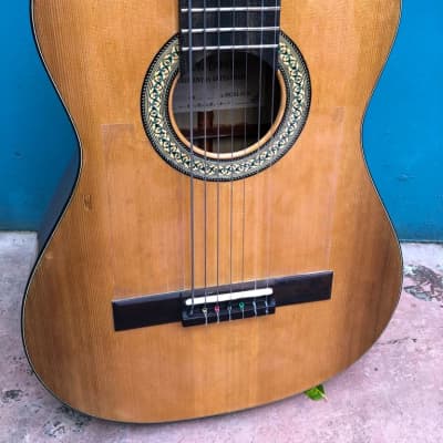 Wilson Campos 7-String Guitar, steel & nylon strings, 2021 image 2