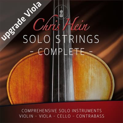 BEST SERVICE　Ensemble Strings Best Service Chris Hein Ensemble Strings - Vintage King