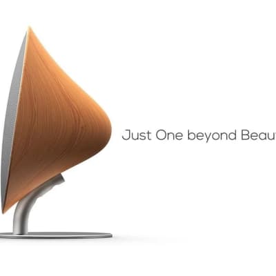 Retro Bluetooth Speaker - TWS Wood color image 9